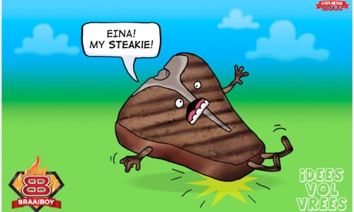 Eina my Steakie! #HeritageDay Braai Humour