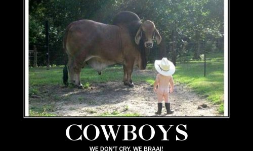 Cowboys Don’t Cry, We Braai! – (De)Motivational Poster