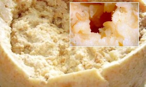 When Is Meat Actually Unsafe? Ageing, “Rotten” Meat, and the Food Myths We Believe.